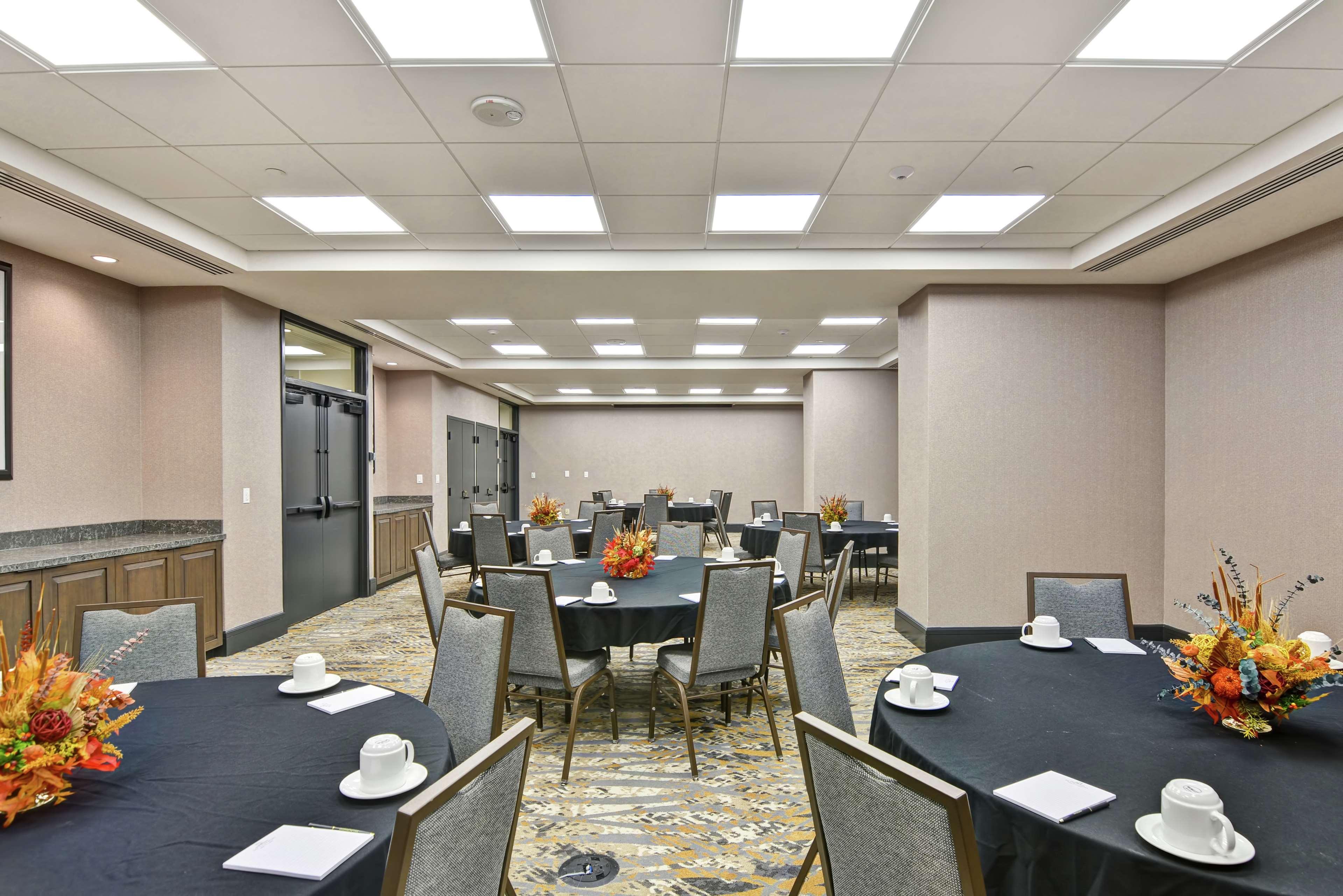 The Cincinnatian Curio Collection By Hilton Luaran gambar