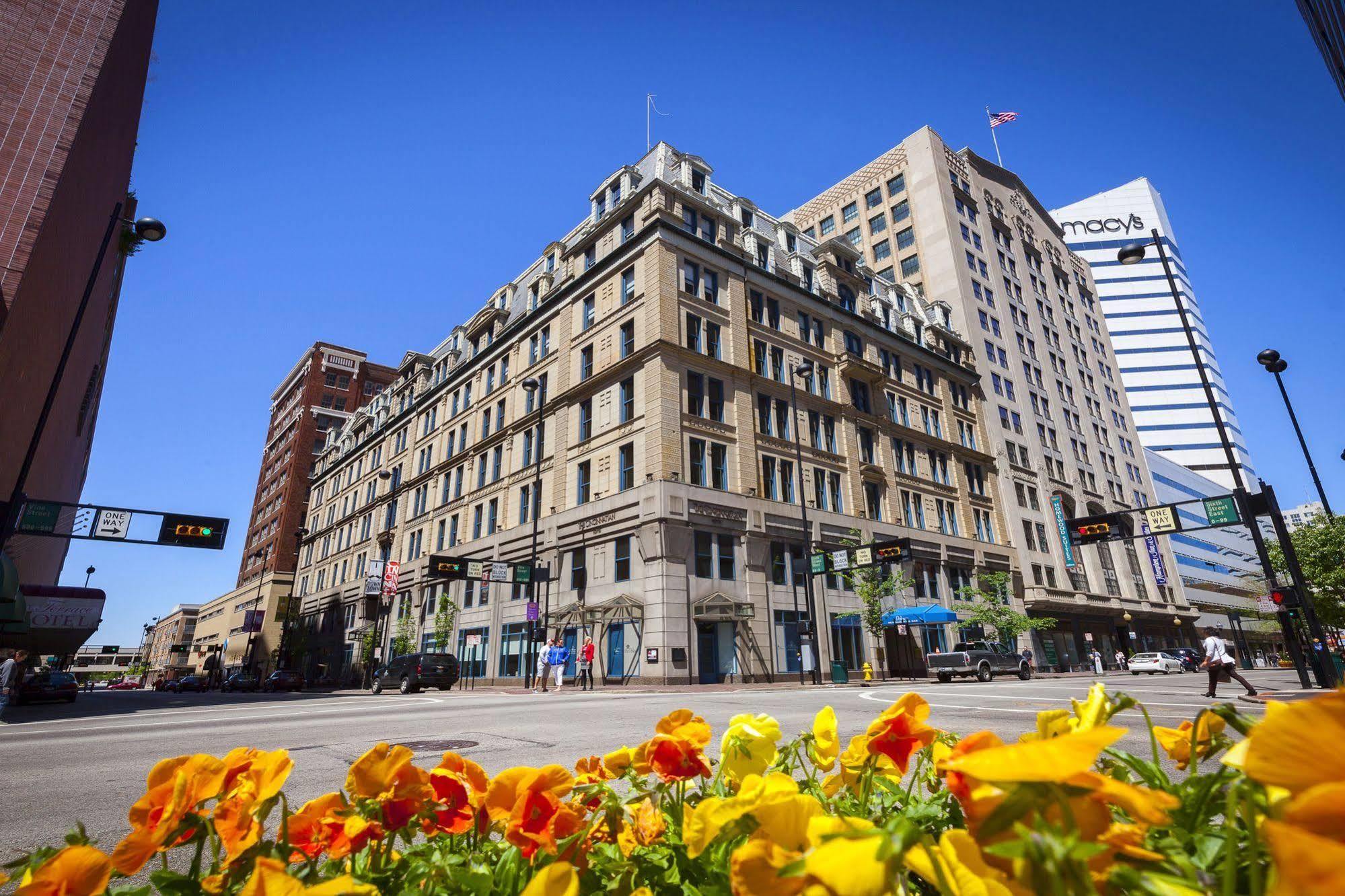 The Cincinnatian Curio Collection By Hilton Luaran gambar