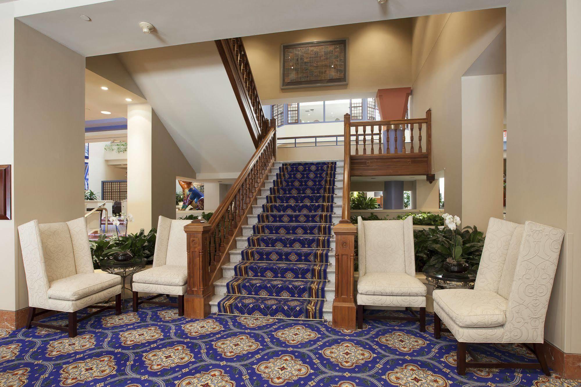 The Cincinnatian Curio Collection By Hilton Luaran gambar